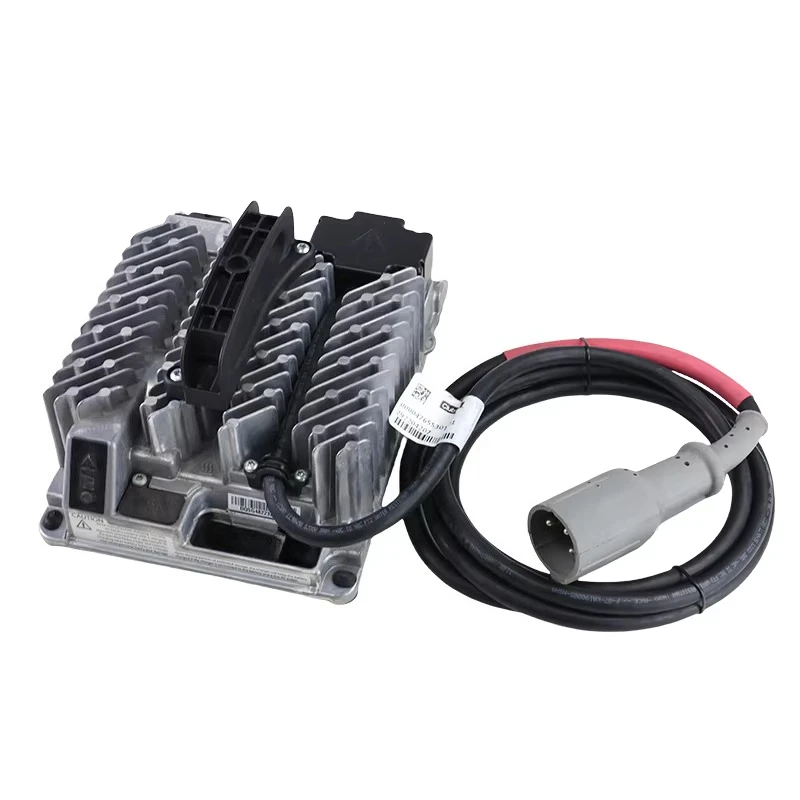 Golf Charger Delta-q 48V Charger 104029601
Golf Charger Delta-q 48V Charger 104029601