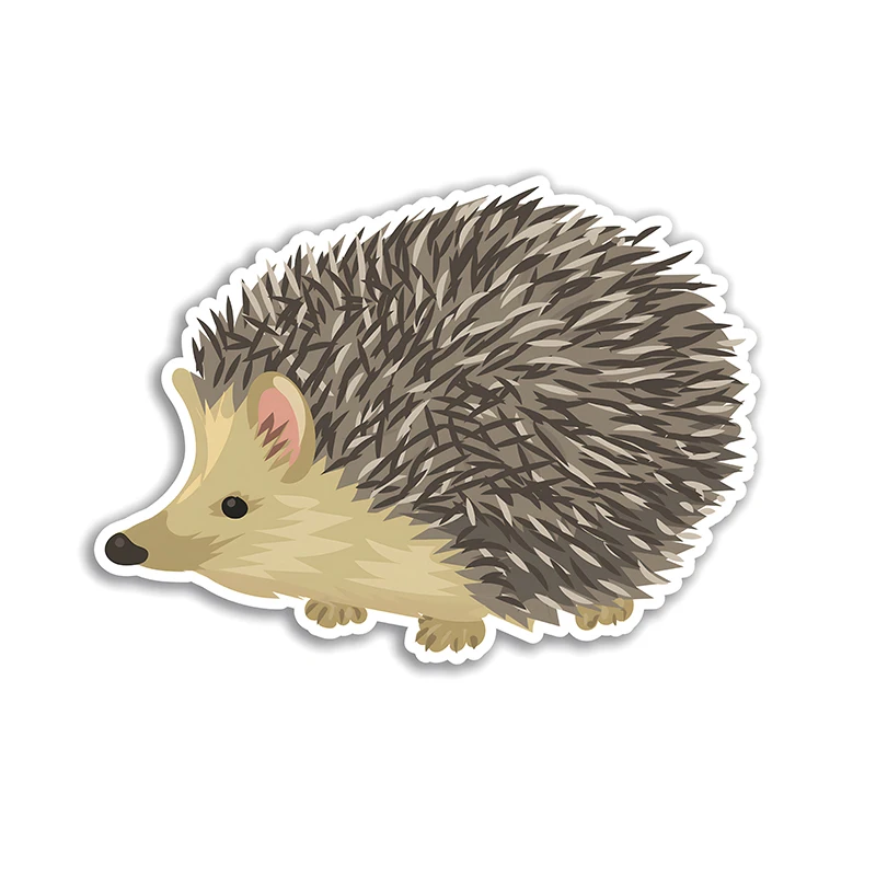 Cute Hedgehog Car Stickers Scratch Covering Self-Adhesive Waterproof Decal Motorcycle Decorative Accessorie External Accessorie
Cute Hedgehog Car Stickers Scratch Covering Self-Adhesive Waterproof Decal Motorcycle Decorative Accessorie External Accessorie