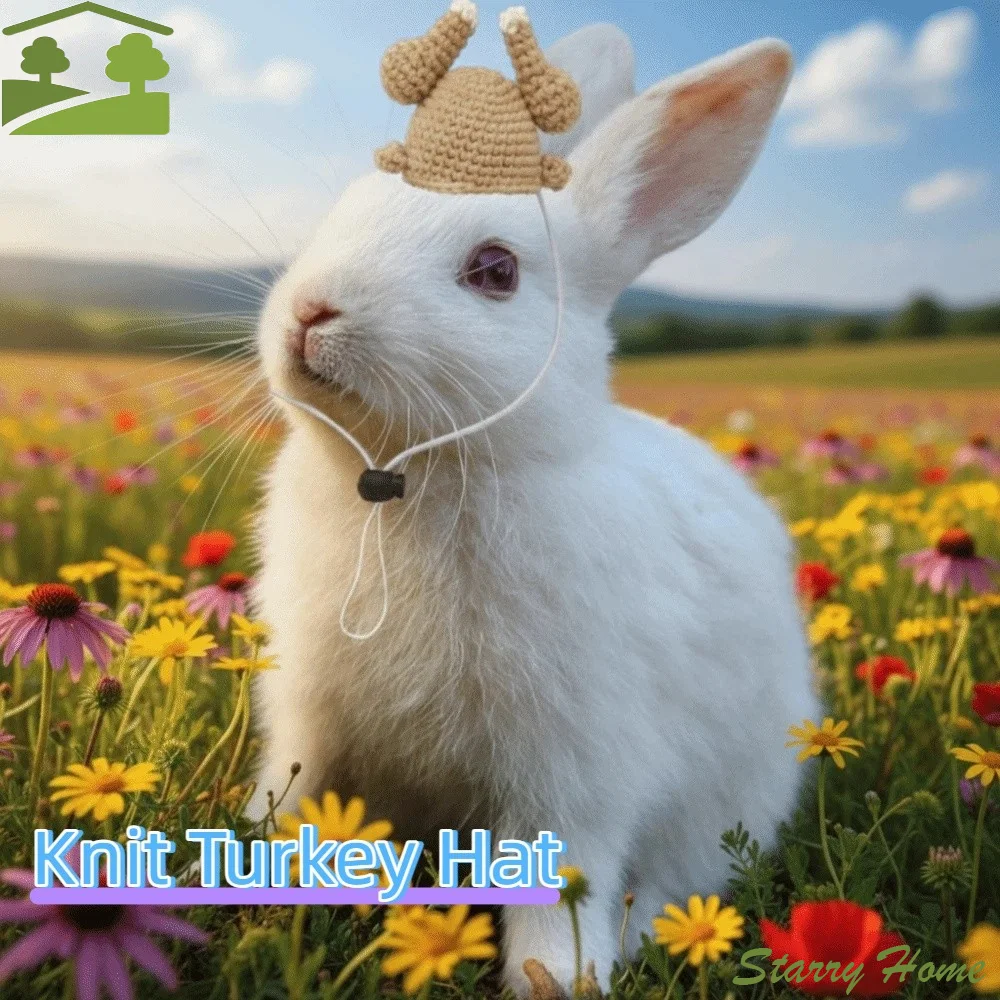 2PCS Cute Funny Rabbit Knit Turkey Hat Cartoon Woolen Yarn Small Pet Novelty Headwear Mini Decorative Hamster Beanie Hat Festive
2PCS Cute Funny Rabbit Knit Turkey Hat Cartoon Woolen Yarn Small Pet Novelty Headwear Mini Decorative Hamster Beanie Hat Festive