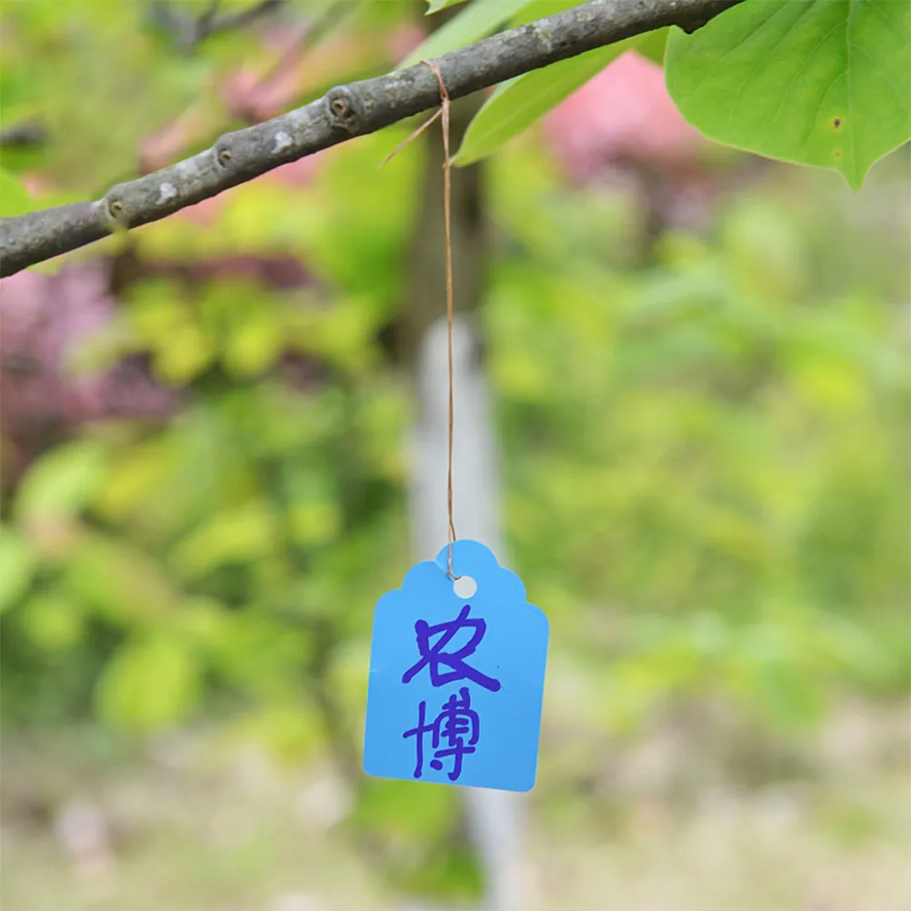 5 комплектов водонепроницаемых этикеток для растений 7x5 см, многоразовые пластиковые подвесные бирки, органайзер для садовых инструментов, подходят для влагозащитных куполов, разные цвета
5 комплектов водонепроницаемых этикеток для растений 7x5 см, многоразовые пластиковые подвесные бирки, органайзер для садовых инструментов, подходят для влагозащитных куполов, разные цвета