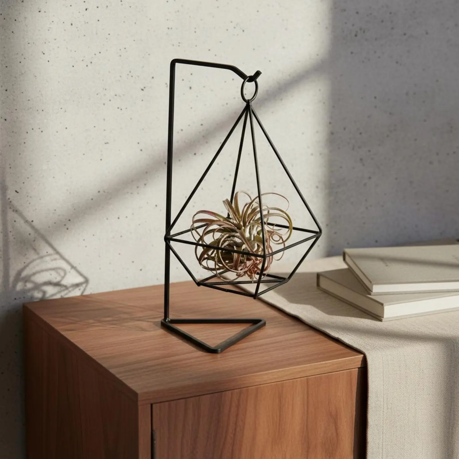 Geometric Air Plant Holder Minimalist Design Air Plant Holder Geometric Iron Stand Stable Base Iron Art Tillandsia Rack
Geometric Air Plant Holder Minimalist Design Air Plant Holder Geometric Iron Stand Stable Base Iron Art Tillandsia Rack