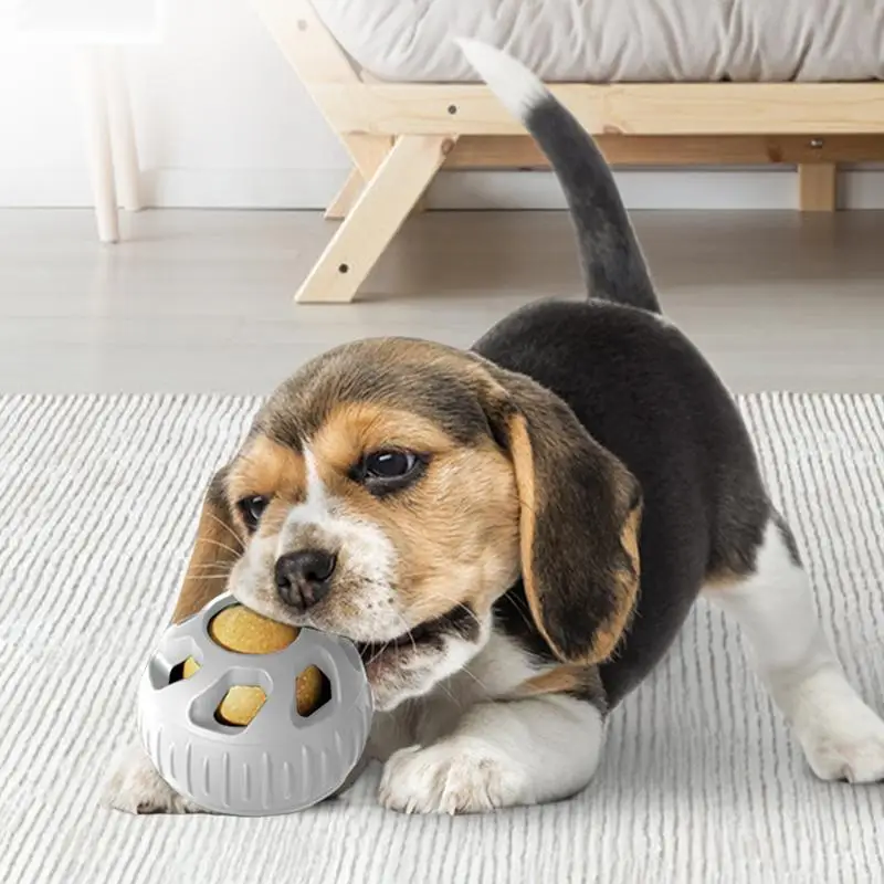 Dog Puzzle Ball 2x Puzzle Treat Dispenser Interactive Dog Treat Ball Puzzle Feeder Ball Dog Puzzle Treat Dispensing Ball For
Dog Puzzle Ball 2x Puzzle Treat Dispenser Interactive Dog Treat Ball Puzzle Feeder Ball Dog Puzzle Treat Dispensing Ball For