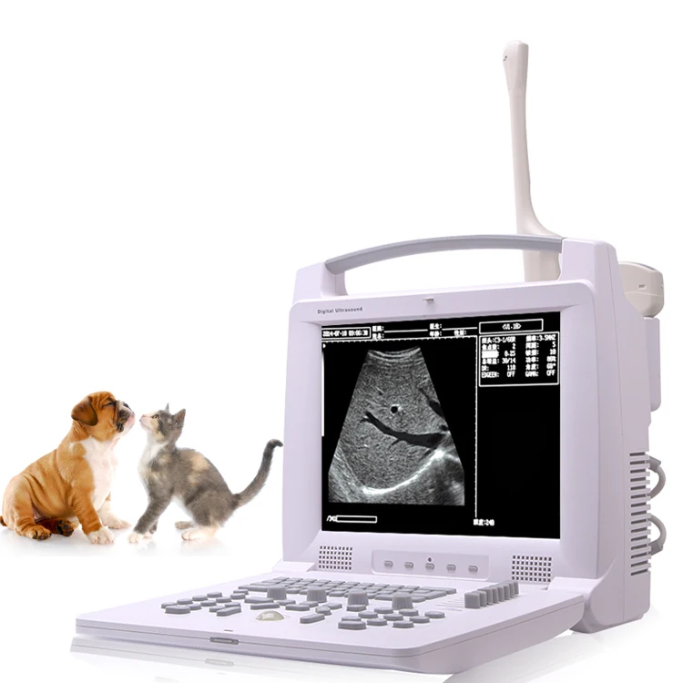 Veterinary Equipment Vet Veterinary Full Digital Portable B/W Ultrasound Scanner for animal
Veterinary Equipment Vet Veterinary Full Digital Portable B/W Ultrasound Scanner for animal