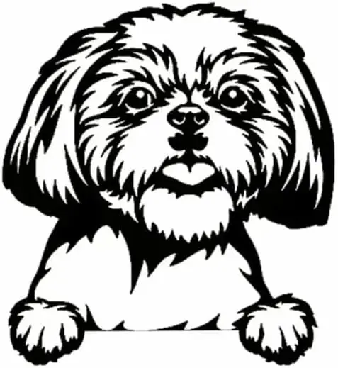 Cute Xishi Dog Car Decal, Dog on Car Decal, Hide Cat Dog Car Decal Window Decal Anime, Cute Vinyl Decoration
Cute Xishi Dog Car Decal, Dog on Car Decal, Hide Cat Dog Car Decal Window Decal Anime, Cute Vinyl Decoration