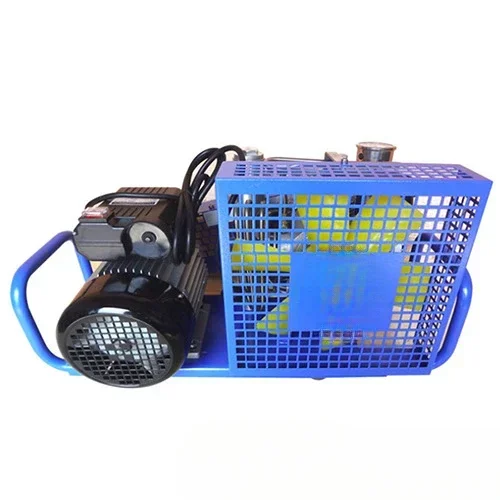 220V Diver Gas Bottle High Pressure Electric Air Pump Self-Container Breathing Apparatus Air Pump Compressor 30mpa
220V Diver Gas Bottle High Pressure Electric Air Pump Self-Container Breathing Apparatus Air Pump Compressor 30mpa