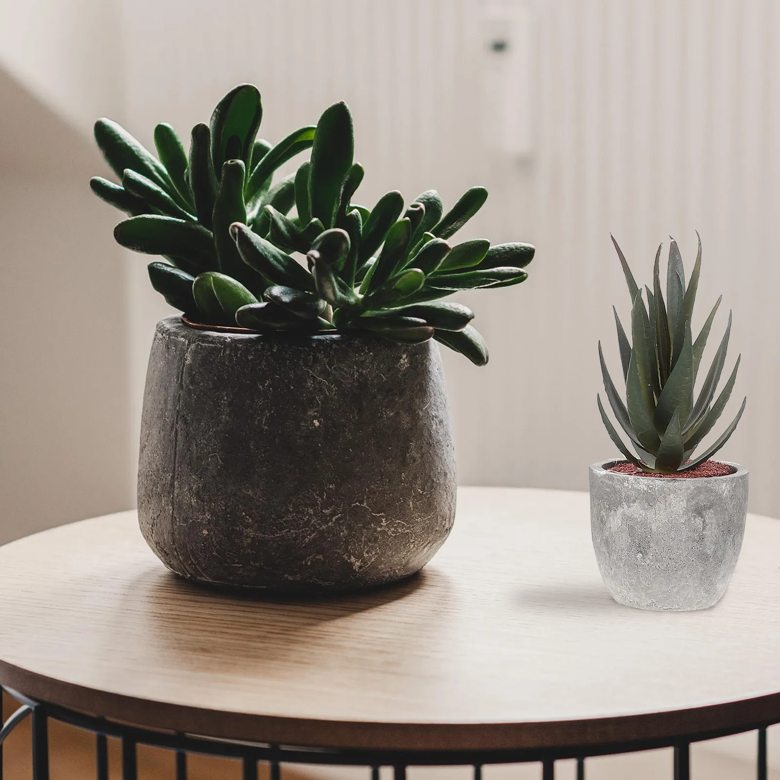 5Pcs Lifelike Artificial Succulents Plants Set Realistic Bright Color Fake Greenery for Indoor Outdoor Home Office Desk Decor
5Pcs Lifelike Artificial Succulents Plants Set Realistic Bright Color Fake Greenery for Indoor Outdoor Home Office Desk Decor