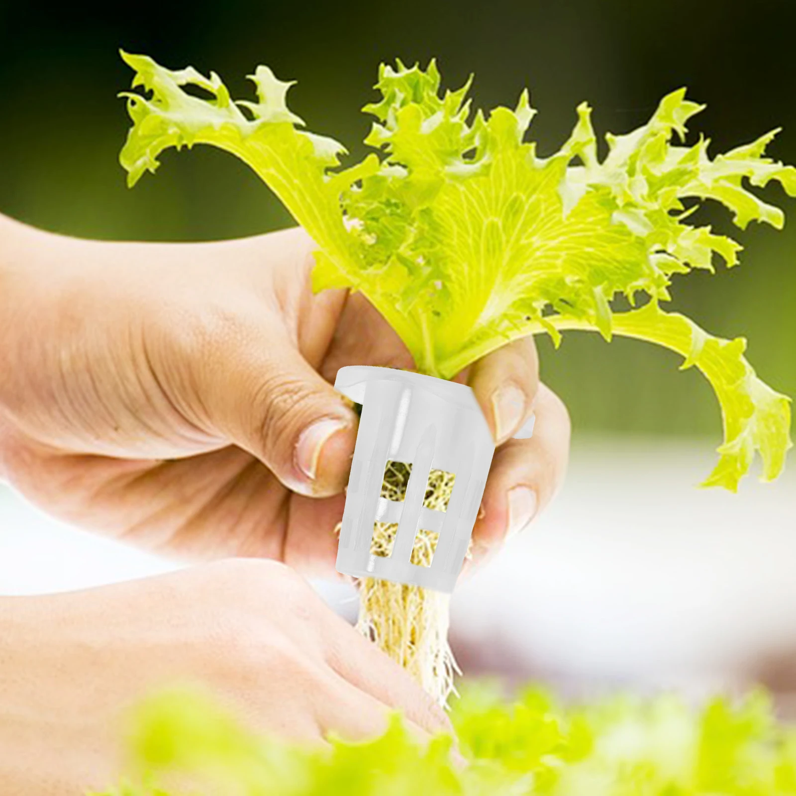 100 Pcs Planting Basket Root Control Device Hydroponic Grow Pots Flower Hydroponics Cups Plastic Garden Net
100 Pcs Planting Basket Root Control Device Hydroponic Grow Pots Flower Hydroponics Cups Plastic Garden Net