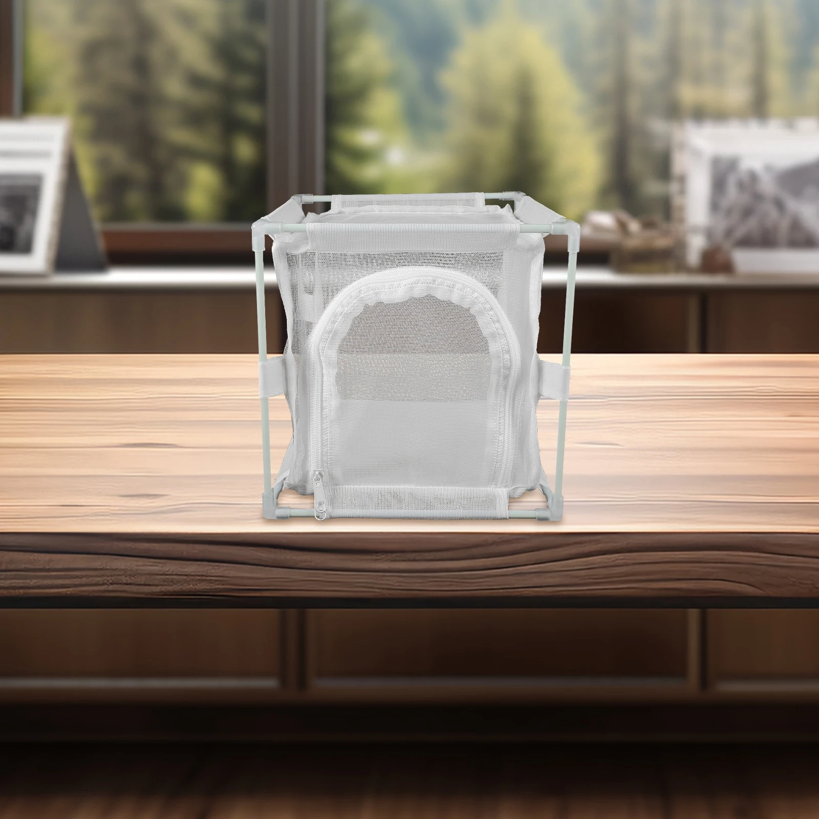 Collapsible Butterfly Habitat Cage Transparent Mesh Design for Observing Life Cycle Ideal for Classroom Home Education Butterfly
Collapsible Butterfly Habitat Cage Transparent Mesh Design for Observing Life Cycle Ideal for Classroom Home Education Butterfly