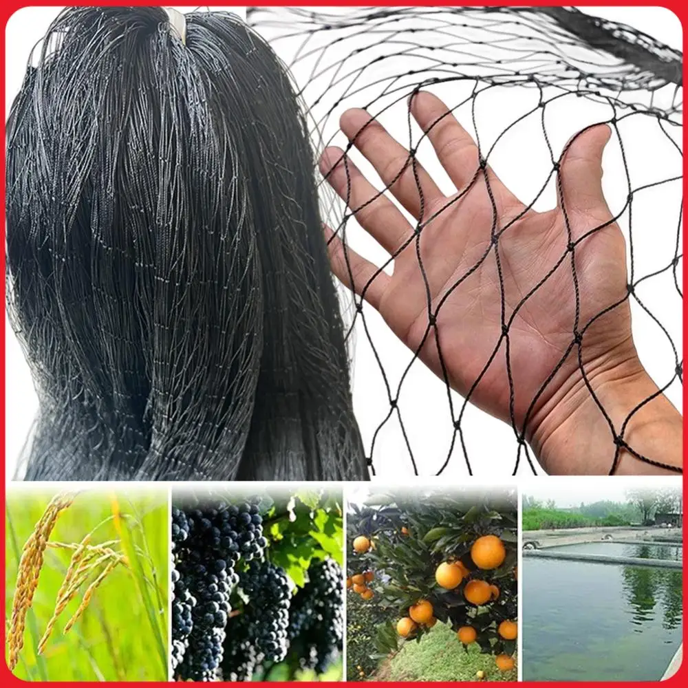 Nylon Bird Netting Garden Bird Net Protective Chicken Coop Netting 25 X 50 FT Fruit Tree Netting for Fruit Trees Plants
Nylon Bird Netting Garden Bird Net Protective Chicken Coop Netting 25 X 50 FT Fruit Tree Netting for Fruit Trees Plants