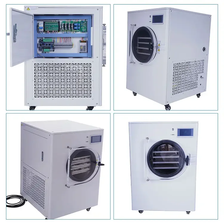 Commercial Freeze Drying Machine Sublimation Condensation Dryer Vacuum Freeze Dryer for Fruits Vegetables
Commercial Freeze Drying Machine Sublimation Condensation Dryer Vacuum Freeze Dryer for Fruits Vegetables