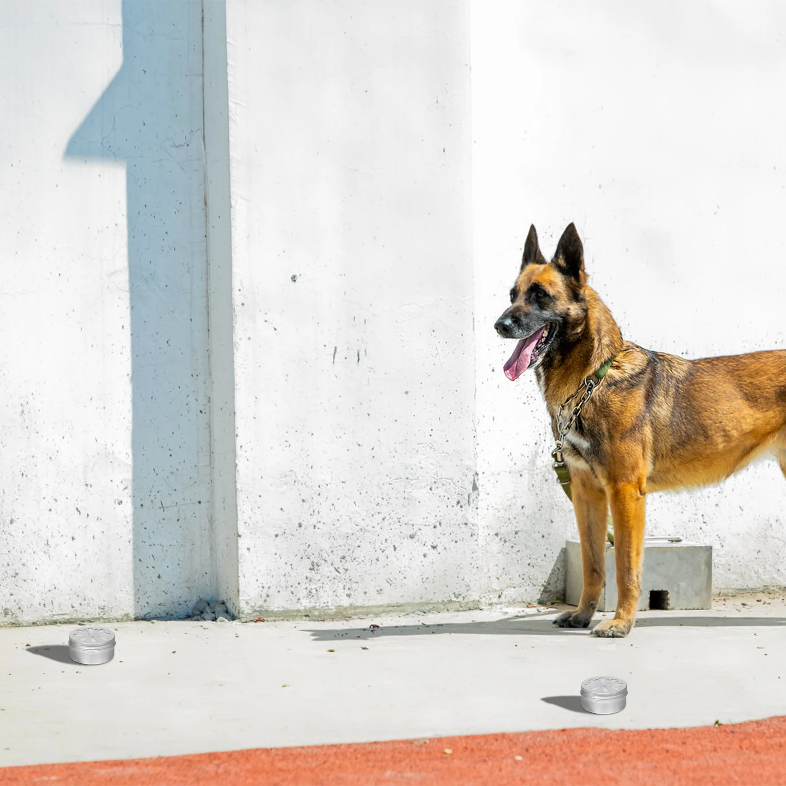 1 Set Dog Kit Aluminum Tins For Scent Work Training Nose Detection Practice Portable Metal Containers Scent Training Supplies
1 Set Dog Kit Aluminum Tins For Scent Work Training Nose Detection Practice Portable Metal Containers Scent Training Supplies