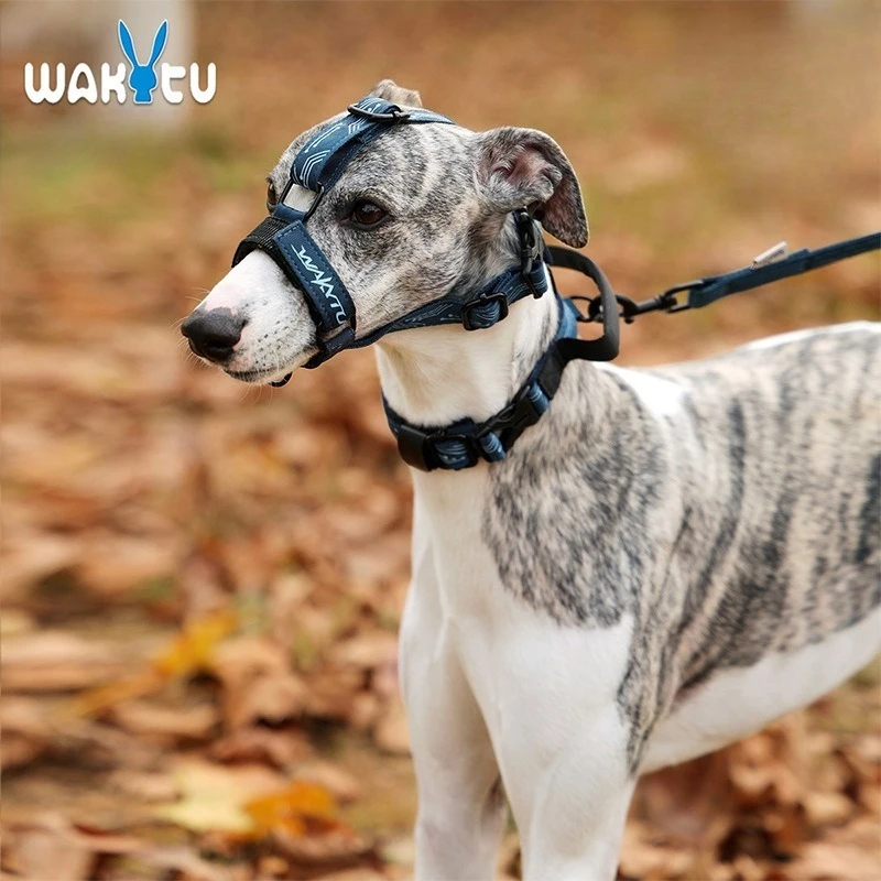 Wakytu Collar Leash Bolt Dog Neck Collar Medium Large Neck Printed Webbing Adjustable Mouth Cover Dog Tactical Necklace
Wakytu Collar Leash Bolt Dog Neck Collar Medium Large Neck Printed Webbing Adjustable Mouth Cover Dog Tactical Necklace
