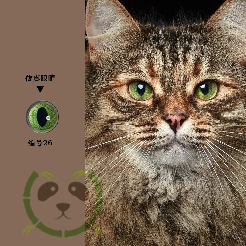 Cat Felt Eyes Hemisphere Glass Simulation Eyes Animal Vertical Round Eyes Handmade Doll Accessories DIY Material
Cat Felt Eyes Hemisphere Glass Simulation Eyes Animal Vertical Round Eyes Handmade Doll Accessories DIY Material