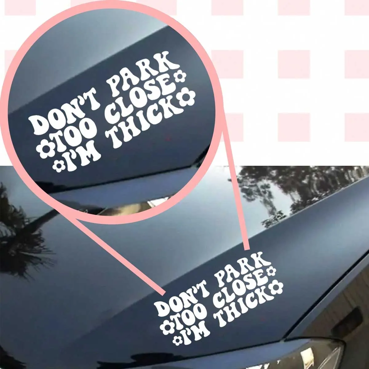 Don't Park Too Close Decal - Funny Car Decal, Car Window Decal Sticker
Don't Park Too Close Decal - Funny Car Decal, Car Window Decal Sticker