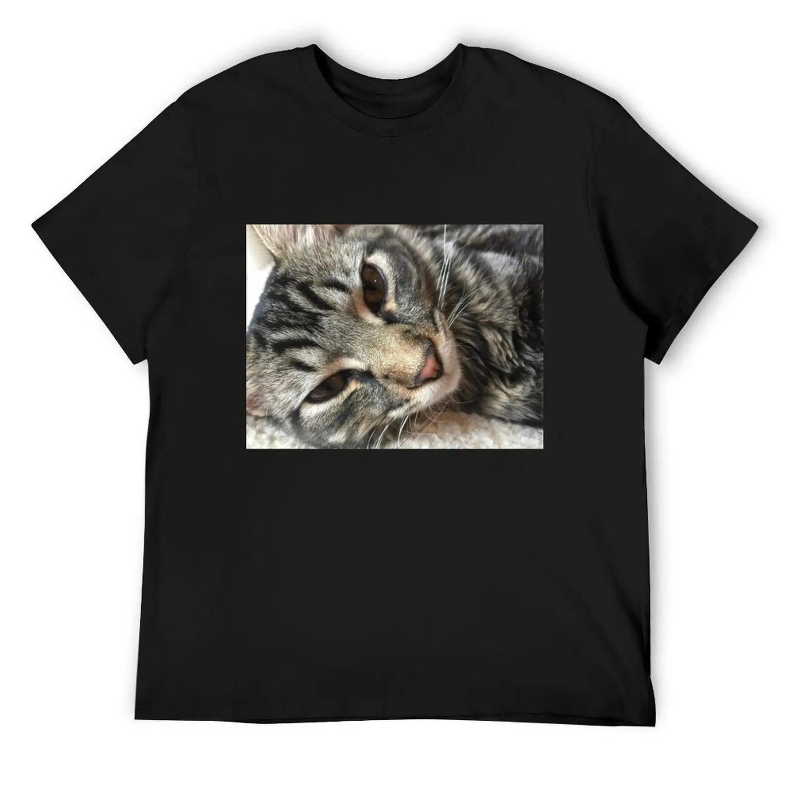 Maine Coon Kitten T-Shirt vintage clothes oversizeds summer clothes cheap stuff tshirts for men
Maine Coon Kitten T-Shirt vintage clothes oversizeds summer clothes cheap stuff tshirts for men