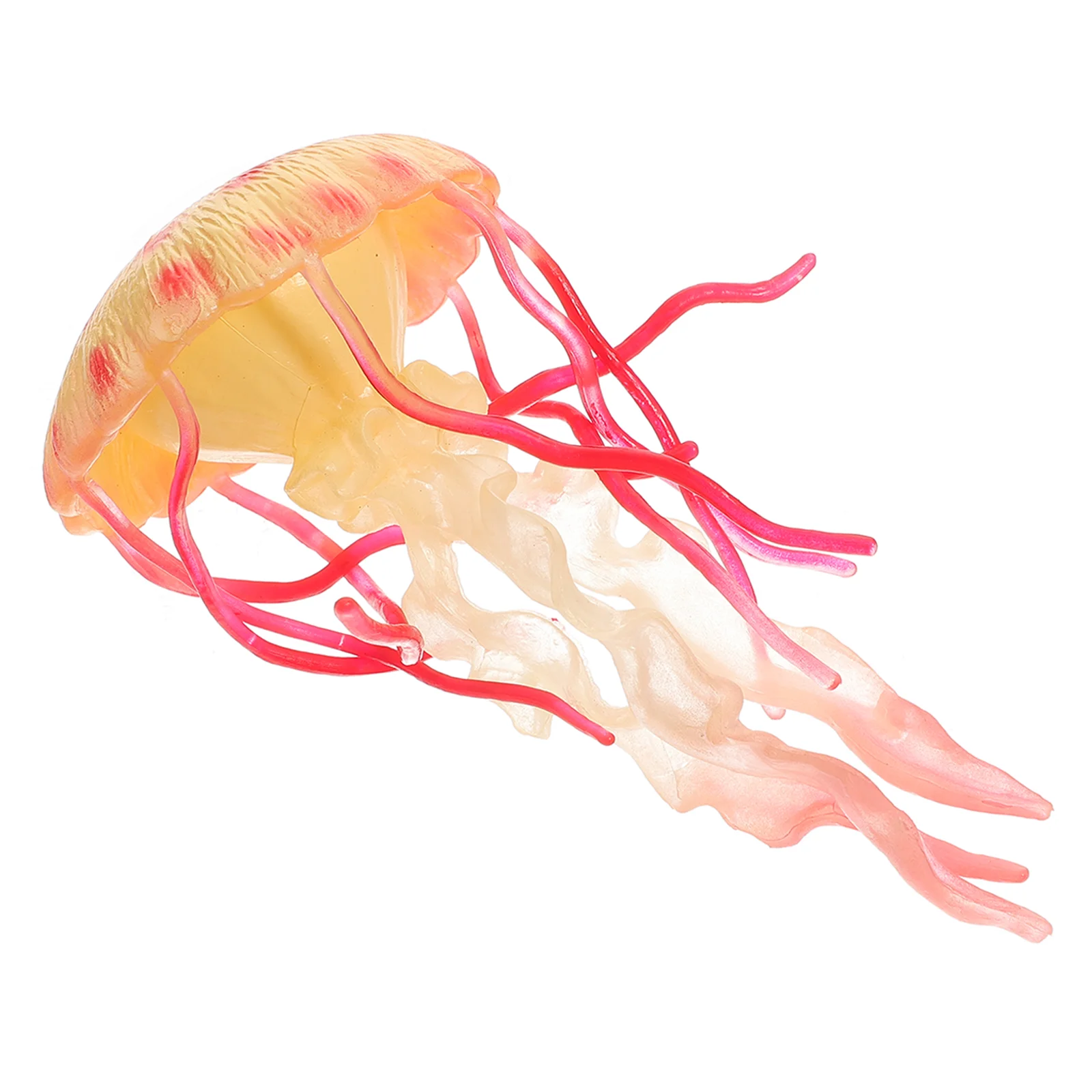 Jellyfish Model Toy Yard Water Animal Toys Shellfish Cognitive Creature for Kids Tabletop Sea Decor Realistic
Jellyfish Model Toy Yard Water Animal Toys Shellfish Cognitive Creature for Kids Tabletop Sea Decor Realistic