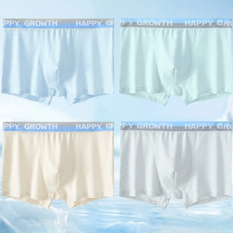 4PCS Teens Boys Thin Mesh Breathable Panties Kids Striped Daily Knickers 7+y Young Children Soft Comfort Antibacterial Underwear
4PCS Teens Boys Thin Mesh Breathable Panties Kids Striped Daily Knickers 7+y Young Children Soft Comfort Antibacterial Underwear