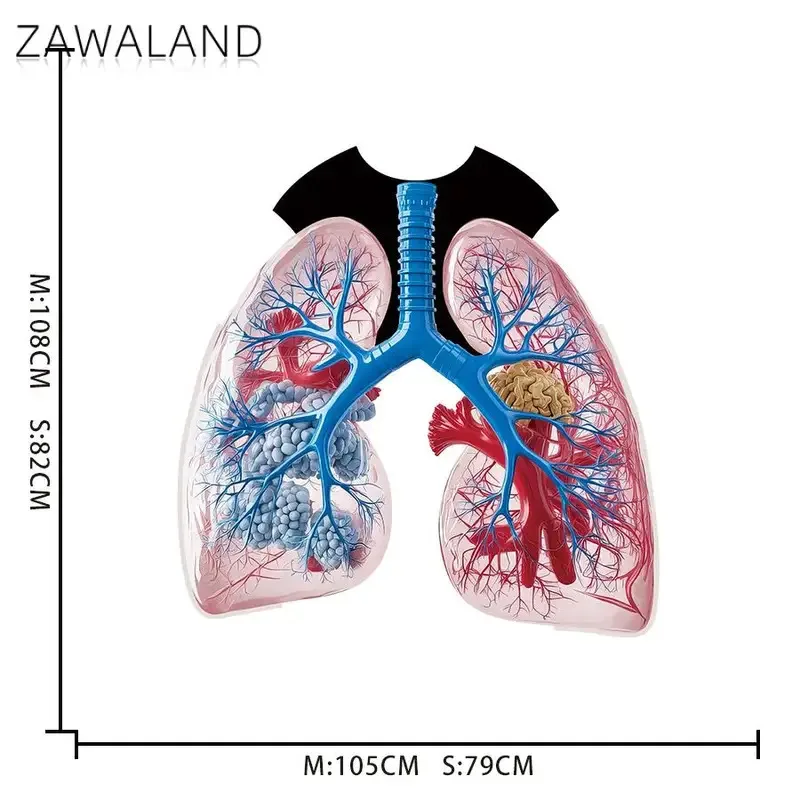 CyZawaland для мальчиков, костюм с принтом анатомии легких, костюм для девочек, тематический наряд для вечеринки, графический наряд на Хэллоуин, косплей, наряд для праздничной маскировки, костюм 
CyZawaland для мальчиков, костюм с принтом анатомии легких, костюм для девочек, тематический наряд для вечеринки, графический наряд на Хэллоуин, косплей, наряд для праздничной маскировки, костюм