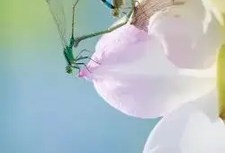 Waterproof Shell Safety Lock For Silver Fish Electric Bicycle Battery 60V 20Ah 1800Wh Lithium Rechargeable Battery
Waterproof Shell Safety Lock For Silver Fish Electric Bicycle Battery 60V 20Ah 1800Wh Lithium Rechargeable Battery