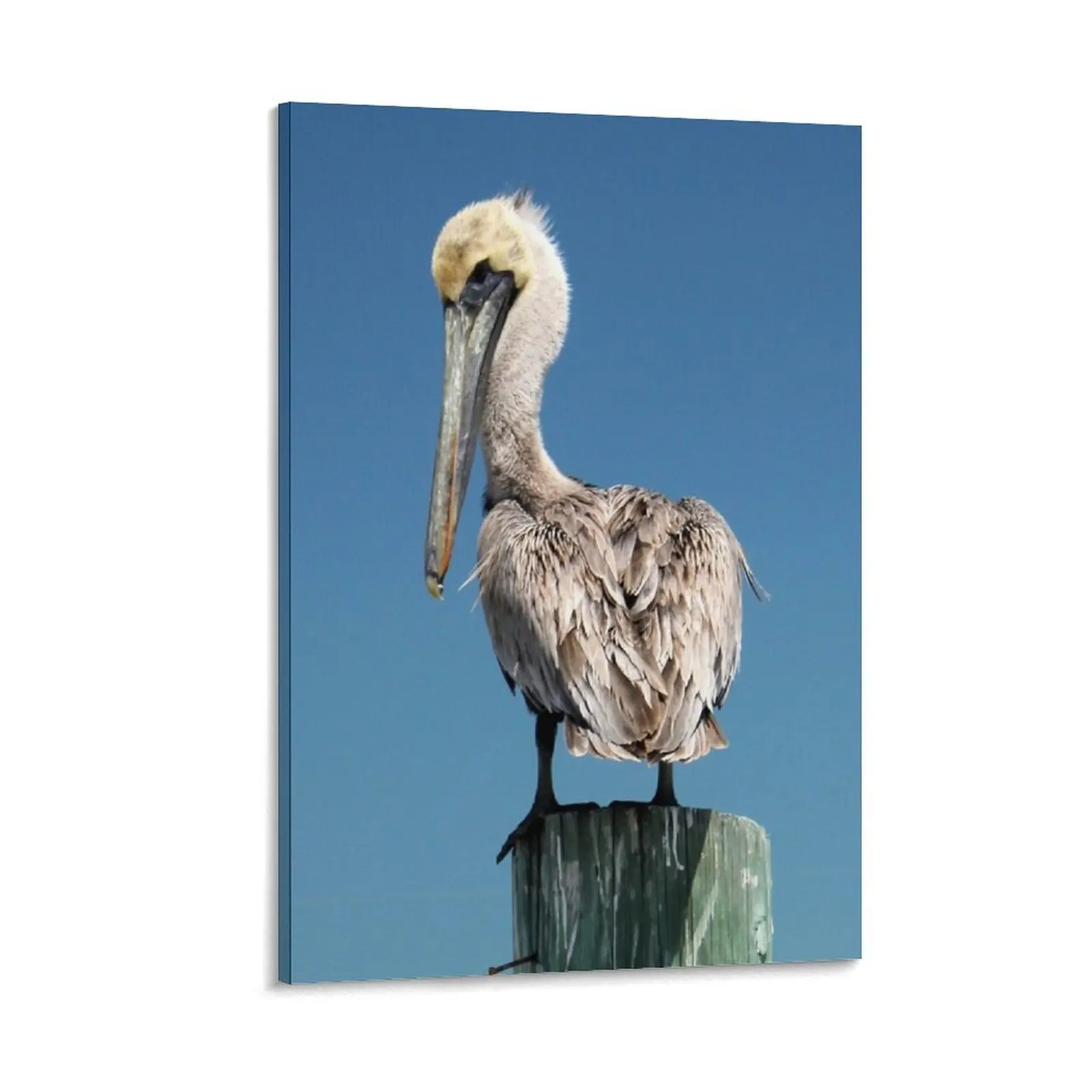 Pelican saying Here's Looking at you, Kid Canvas Painting decorative picture for living room paintings wall decor poster
Pelican saying Here's Looking at you, Kid Canvas Painting decorative picture for living room paintings wall decor poster