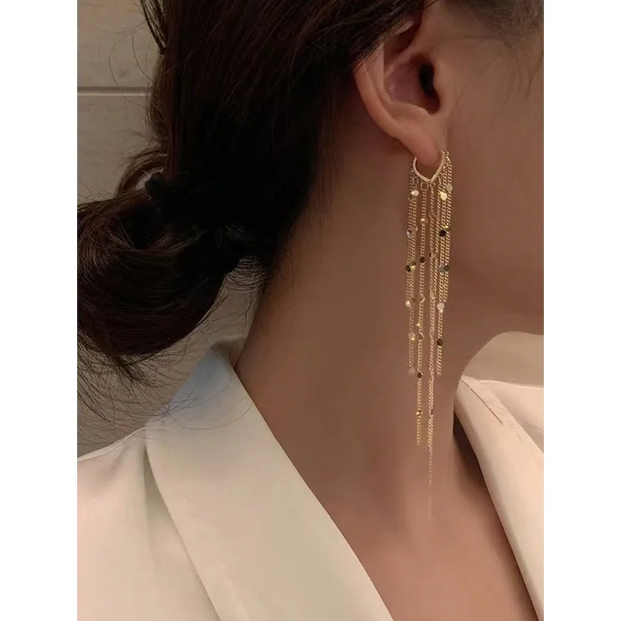 Metal Tassel Decor Drop Earrings
Metal Tassel Decor Drop Earrings