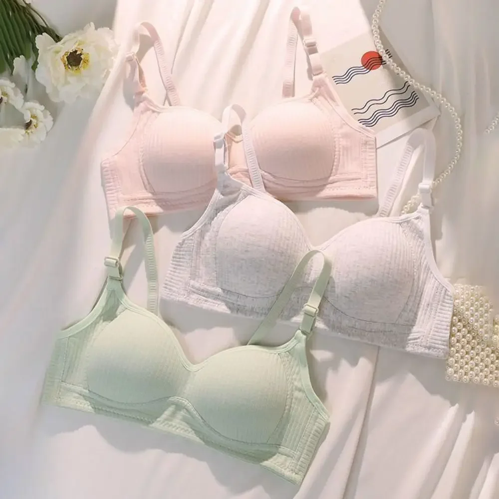 Sweet Close-fitting Wireless Bra Shockproof Anti-sagging Bralettes for Women Gathered Breasts Lingerie Push Up Bra Summer
Sweet Close-fitting Wireless Bra Shockproof Anti-sagging Bralettes for Women Gathered Breasts Lingerie Push Up Bra Summer
