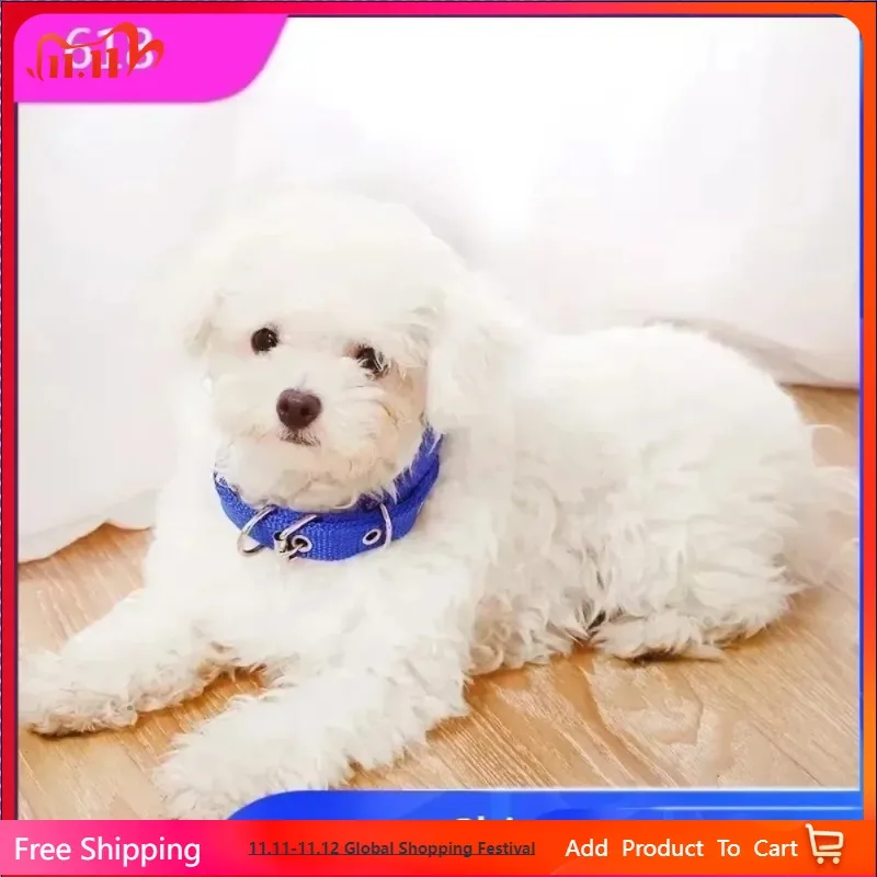 Adjustable Nylon Pet Dog Collar for Small Large Dogs Sturdy Puppy Big Dog Collars Pitbull Pug Products for Pets Honden Halsband
Adjustable Nylon Pet Dog Collar for Small Large Dogs Sturdy Puppy Big Dog Collars Pitbull Pug Products for Pets Honden Halsband