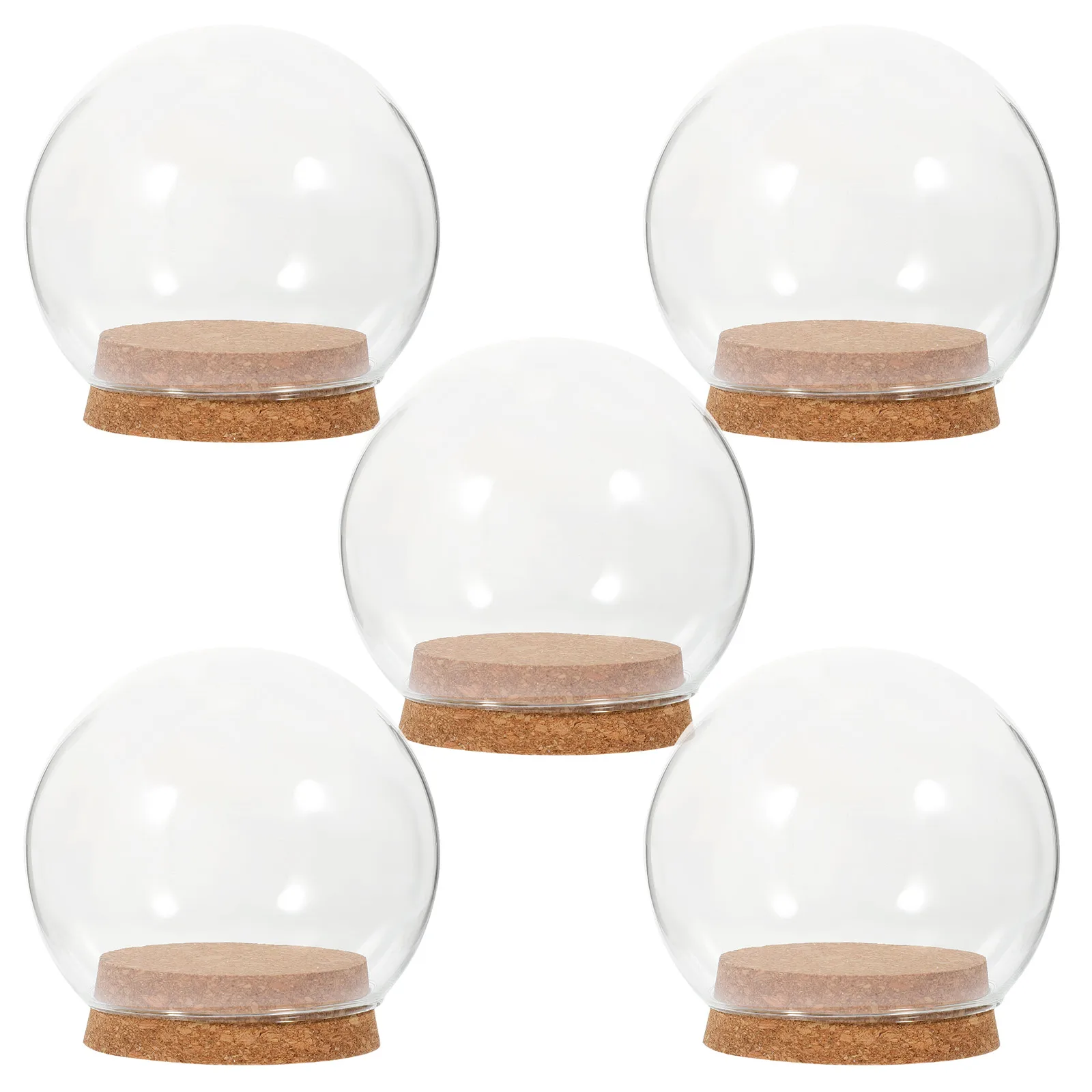 5Pcs Acrylic Display Dome Glass Preserved Flowers Display Glass Immortal Flower Glass Acrylic Display Dome
5Pcs Acrylic Display Dome Glass Preserved Flowers Display Glass Immortal Flower Glass Acrylic Display Dome
