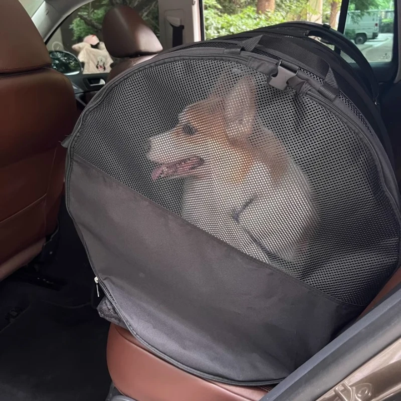 Car Pet Carrier for Cats/Dog Large Travel Crate with Ventilation Foldable Dog Cage for Golden Retrievers Portable Backseat Crate
Car Pet Carrier for Cats/Dog Large Travel Crate with Ventilation Foldable Dog Cage for Golden Retrievers Portable Backseat Crate