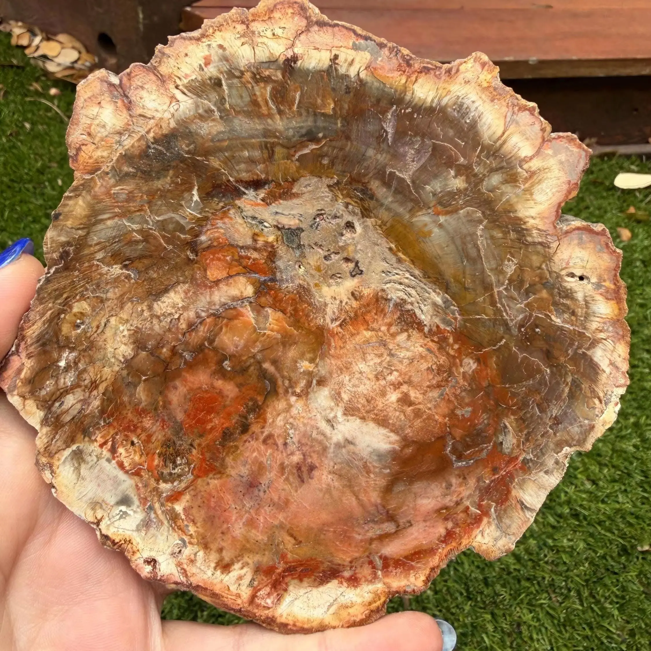 CrystalHola Petrified Wood Slab Natural Irregular Smooth Semi Precious Stones Home Decoration
CrystalHola Petrified Wood Slab Natural Irregular Smooth Semi Precious Stones Home Decoration