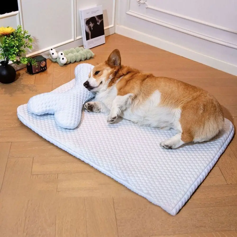 Easy to Use Washable Summer Dog Mat Breathabl Soft Pet Sleeping Mat Detachable Cat Bed Pet Supplies
Easy to Use Washable Summer Dog Mat Breathabl Soft Pet Sleeping Mat Detachable Cat Bed Pet Supplies