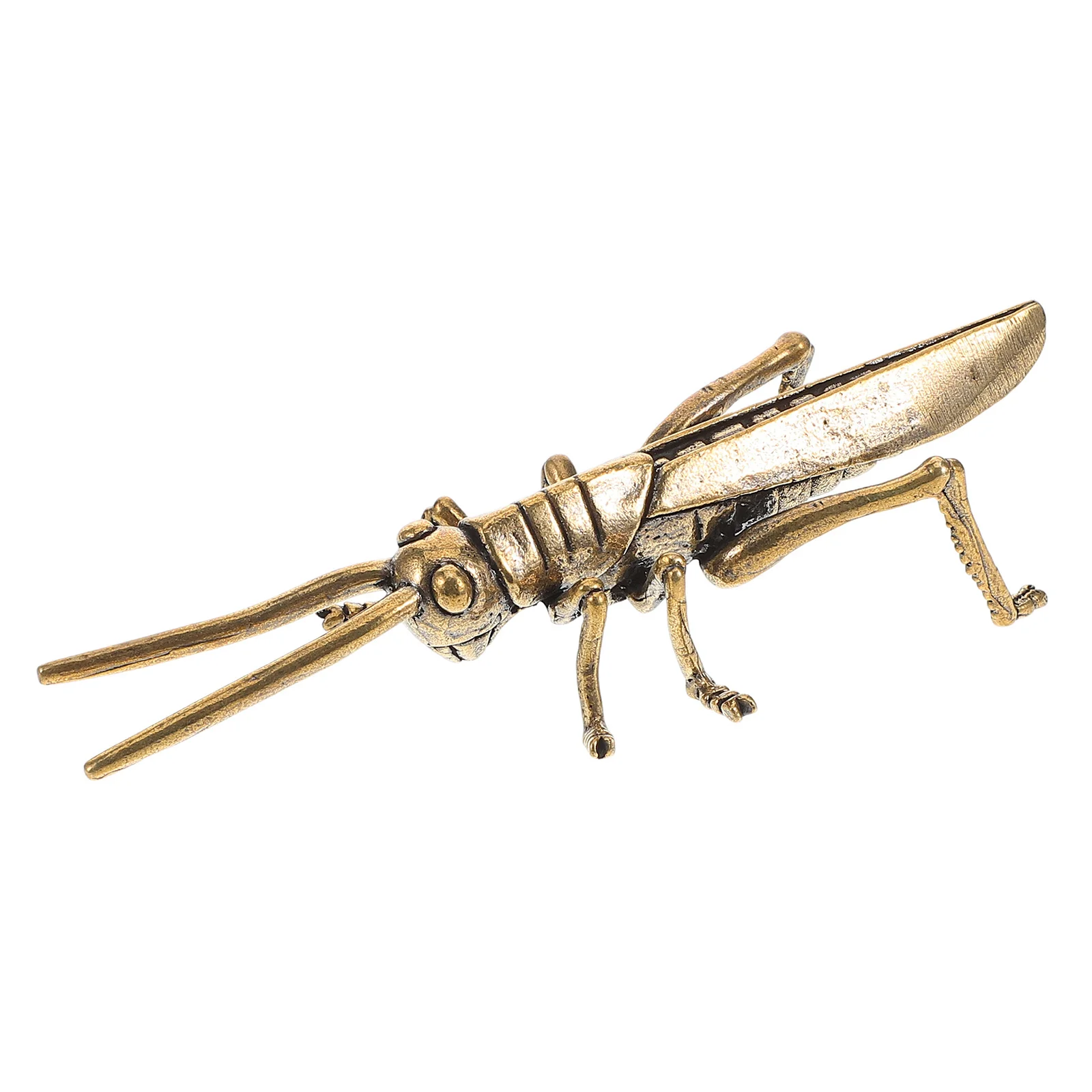 Brass Locust Ornaments Decor Vintage Animal Mini Figurine Decorative Creative Desktop
Brass Locust Ornaments Decor Vintage Animal Mini Figurine Decorative Creative Desktop