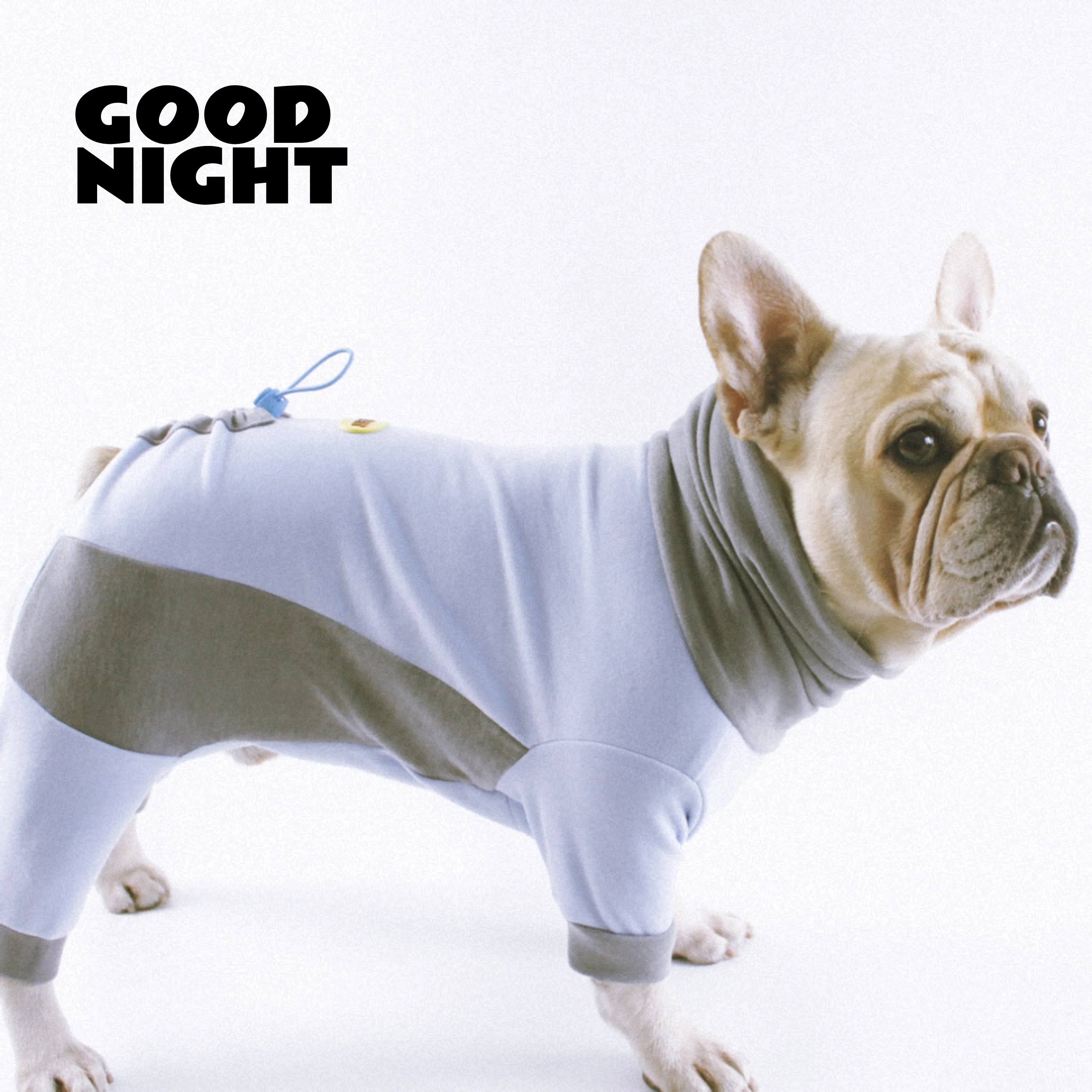 Goodnight Warm Fleece Lined Four Leg Dog Clothes for Autumn Winter Dog Clothing French Bulldog Pomeranian Yorkshire Dog
Goodnight Warm Fleece Lined Four Leg Dog Clothes for Autumn Winter Dog Clothing French Bulldog Pomeranian Yorkshire Dog