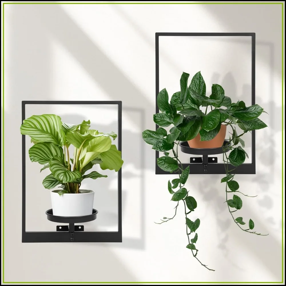 Set of 2 Wall Plant Holders - Floating Shelves for Indoor Plants, Metal Hanging Planters for Home Decor
Set of 2 Wall Plant Holders - Floating Shelves for Indoor Plants, Metal Hanging Planters for Home Decor