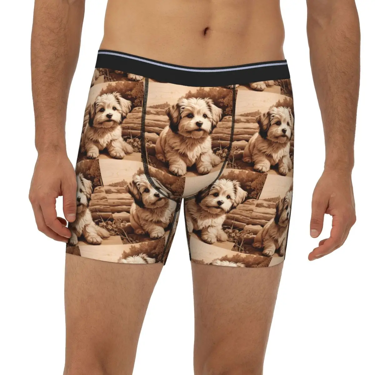 Длинные трусы-боксеры Havanese The Joyful Spirit Of Wood, короткие мужские трусы, мягкое нижнее белье для мужчин, подарок бойфренду
Длинные трусы-боксеры Havanese The Joyful Spirit Of Wood, короткие мужские трусы, мягкое нижнее белье для мужчин, подарок бойфренду