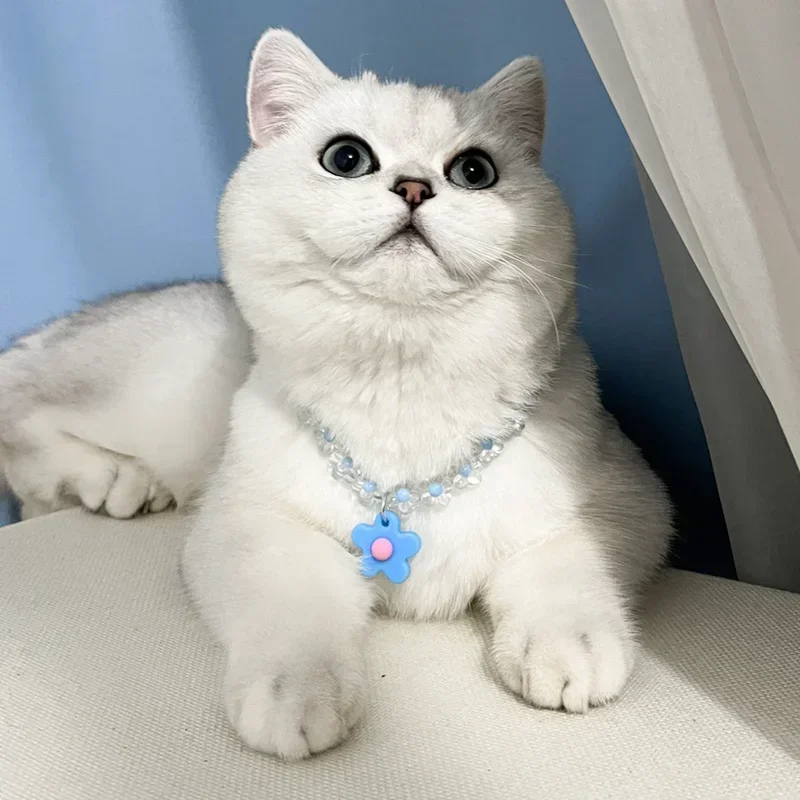 Colorful Pet Floret Dog Collar Cat Necklace Jewelry Puppy Accessories Small Dog and Medium-sized Cute Dog Pet Products
Colorful Pet Floret Dog Collar Cat Necklace Jewelry Puppy Accessories Small Dog and Medium-sized Cute Dog Pet Products