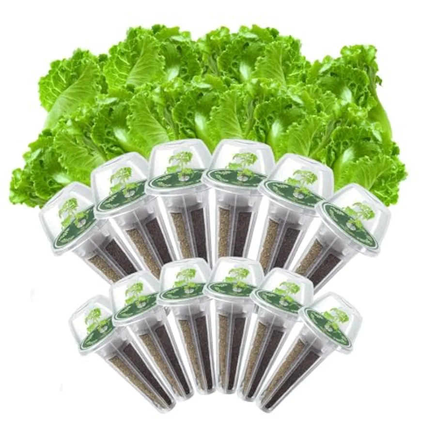 Lettuce Seed Pods Kit for Hydroponic, 12 Pods Grow Anything Hydroponics Kit for Indoor Garden, Hydroponics Supplies with 12 Gro
Lettuce Seed Pods Kit for Hydroponic, 12 Pods Grow Anything Hydroponics Kit for Indoor Garden, Hydroponics Supplies with 12 Gro