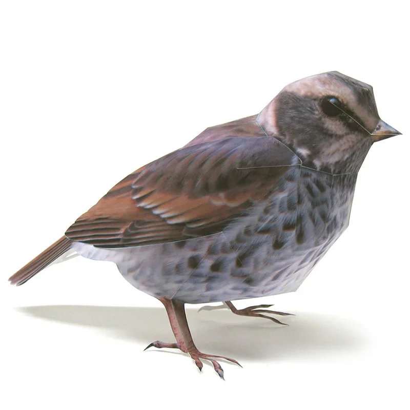 Птица Dusky Thrush, бумажная модель, реалистичное животное, мини-милые оригами, искусство, 3D ремесло, сделай сам, дети, взрослые, игрушки ручной работы WE-033
Птица Dusky Thrush, бумажная модель, реалистичное животное, мини-милые оригами, искусство, 3D ремесло, сделай сам, дети, взрослые, игрушки ручной работы WE-033