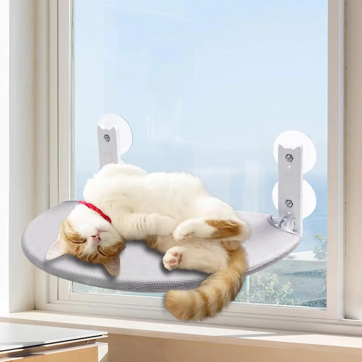 Pet Hammocks, Cat Window Perch, Foldable Sunbath Cat Bed, Cat Hammo With Solid Metal Frame And Soft Cover, Space Saving Window
Pet Hammocks, Cat Window Perch, Foldable Sunbath Cat Bed, Cat Hammo With Solid Metal Frame And Soft Cover, Space Saving Window