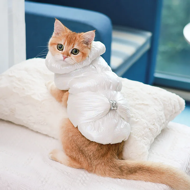 Good-looking dog bowknot cotton coat vest cat clothing puppy winter down jacket autumn and winter pet clothing to keep warm
Good-looking dog bowknot cotton coat vest cat clothing puppy winter down jacket autumn and winter pet clothing to keep warm