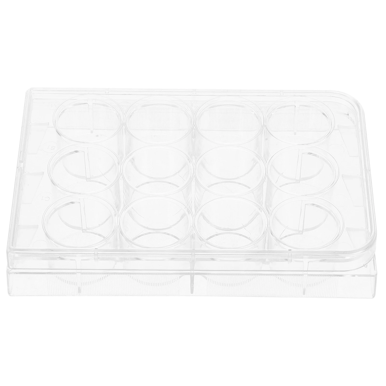 10pcs Culture Plate Cell Tissue Tray with Lid High Transparency for Laboratory Plastic Flat Bottom Reusable
10pcs Culture Plate Cell Tissue Tray with Lid High Transparency for Laboratory Plastic Flat Bottom Reusable