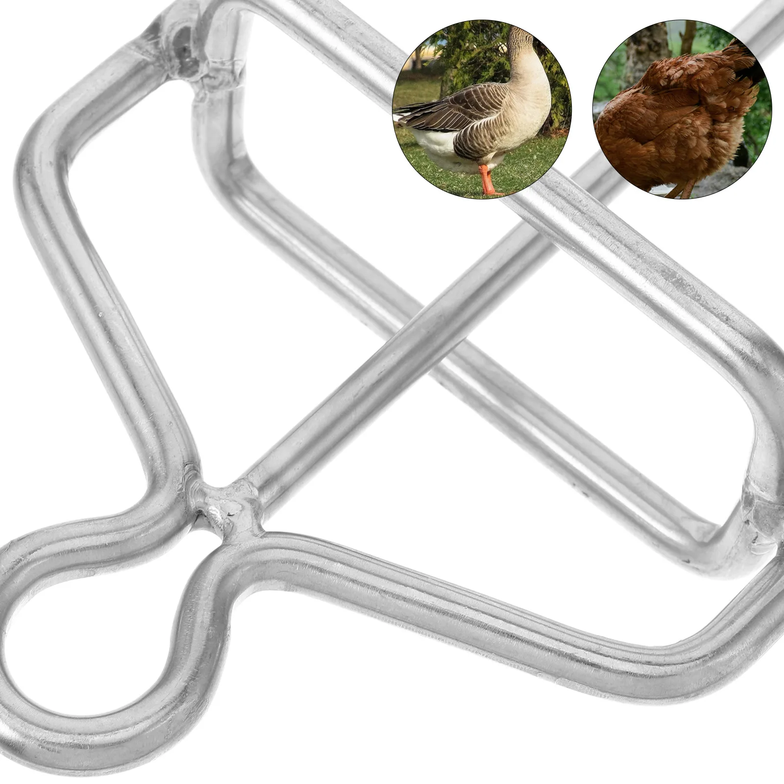 Claw Guard Roast Hangers Hanging Grill Roast Poultry Meat Chicken Hooks Meat Hooks Durable Practical
Claw Guard Roast Hangers Hanging Grill Roast Poultry Meat Chicken Hooks Meat Hooks Durable Practical