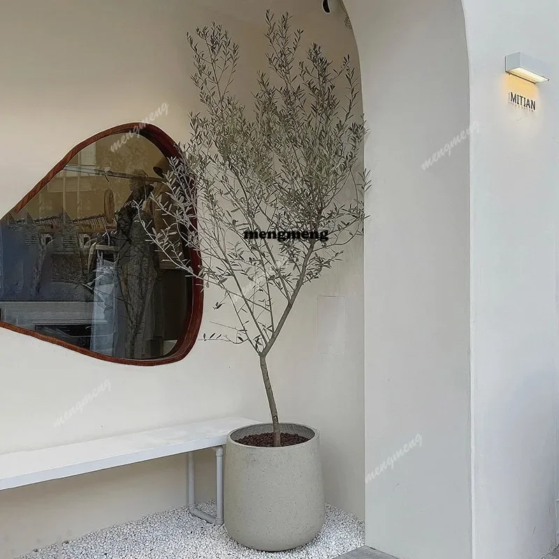 Оливковое дерево M138 в горшке, настоящее дерево, крупное растение для дома, балкона, сада, зелень, цветы
Оливковое дерево M138 в горшке, настоящее дерево, крупное растение для дома, балкона, сада, зелень, цветы