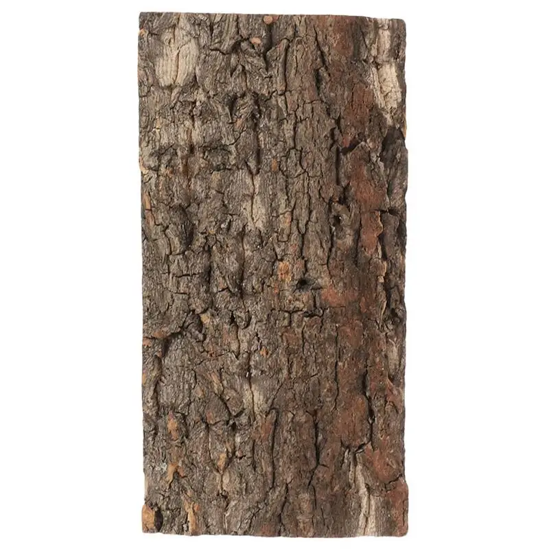 Reptile Bark Backdrop Fish Tank Bark Background Cork Terrarium Background Natural Tree Bark Aquarium Animalation Wood Artwork
Reptile Bark Backdrop Fish Tank Bark Background Cork Terrarium Background Natural Tree Bark Aquarium Animalation Wood Artwork