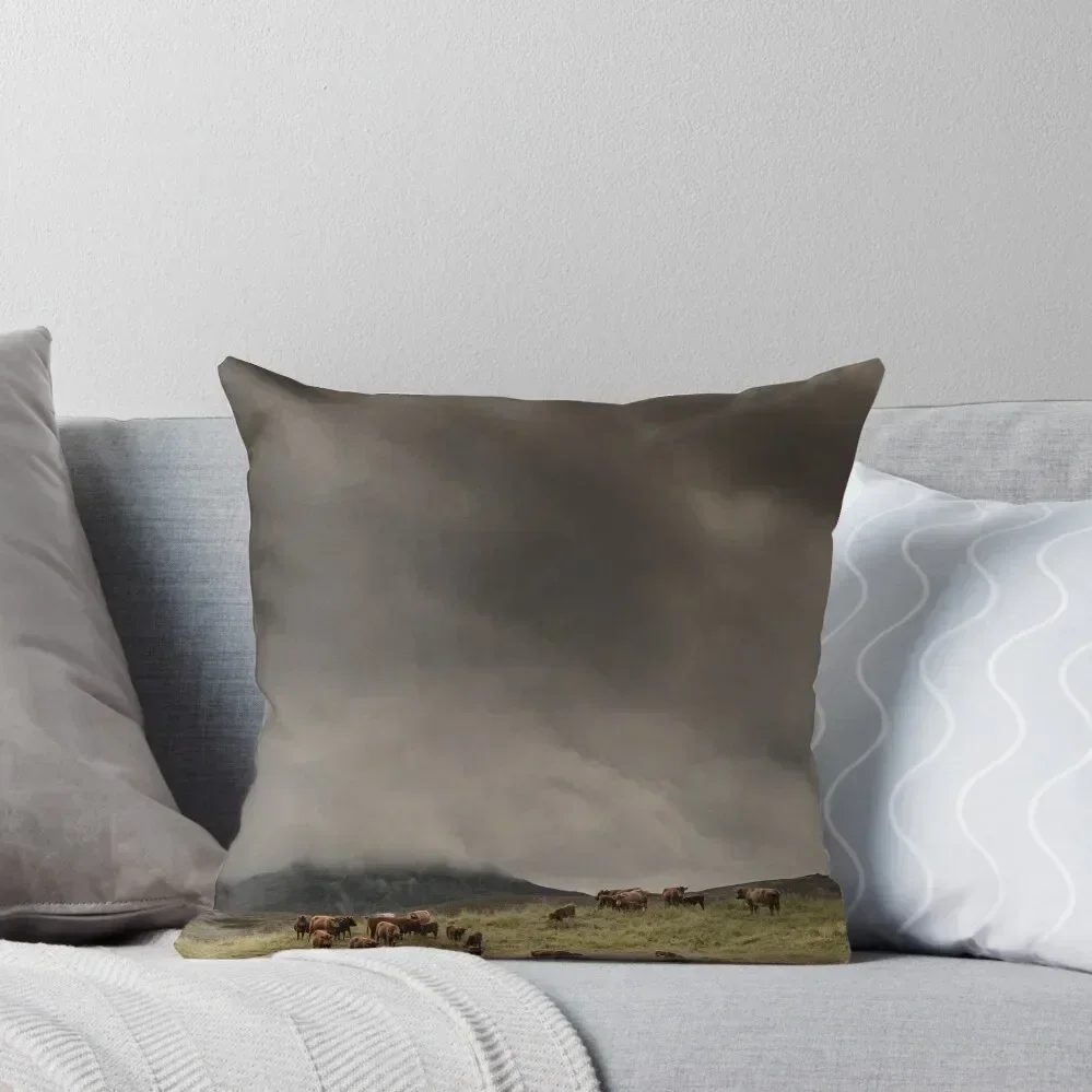 The Coos, The Clouds and The Clegs', Monzie, Blair Atholl, near Pitlochry. Throw Pillow Custom Cushion Photo pillow
The Coos, The Clouds and The Clegs', Monzie, Blair Atholl, near Pitlochry. Throw Pillow Custom Cushion Photo pillow