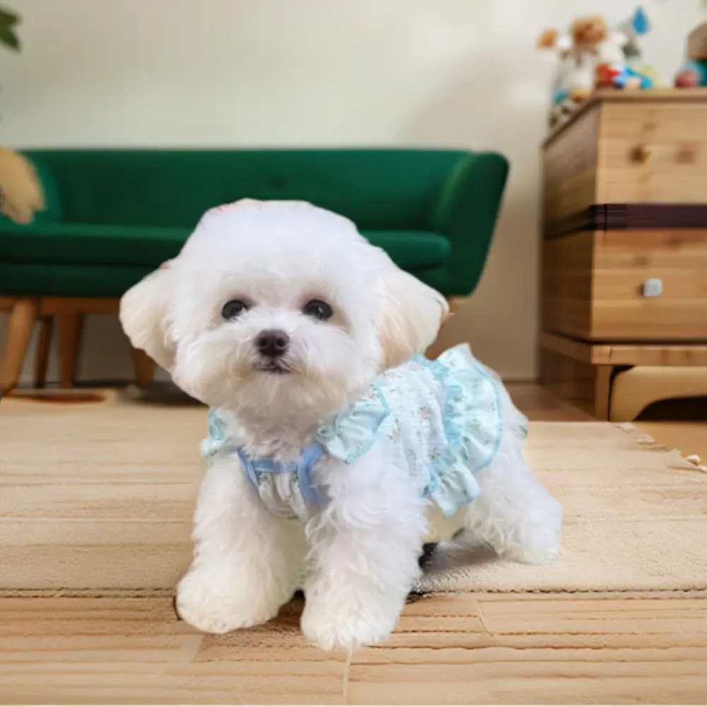 Pet Clothes Thin Dog Summer Dress Soft Breathable Pet Floral Skirt Skin-friendly Cute Dog Cooler Clothes for Small Medium Dogs
Pet Clothes Thin Dog Summer Dress Soft Breathable Pet Floral Skirt Skin-friendly Cute Dog Cooler Clothes for Small Medium Dogs