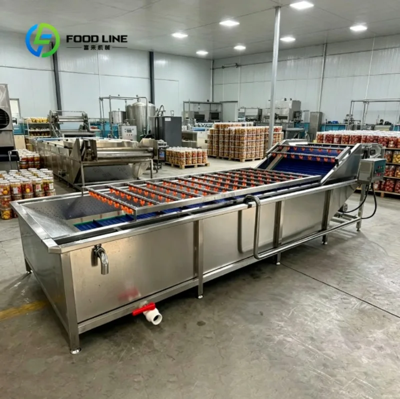 Commercial Bubble Washing Machine Stainless Steel Fruit Vegetable Cleaning Equipment for Food Factory
Commercial Bubble Washing Machine Stainless Steel Fruit Vegetable Cleaning Equipment for Food Factory