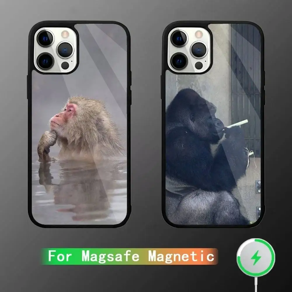 Cute Funny Monkey Phone Case For iPhone 16,15,14,13,12,11,Pro,Max,Plus,Mini,SE New Magsafe Magnetic Wireless Charging
Cute Funny Monkey Phone Case For iPhone 16,15,14,13,12,11,Pro,Max,Plus,Mini,SE New Magsafe Magnetic Wireless Charging