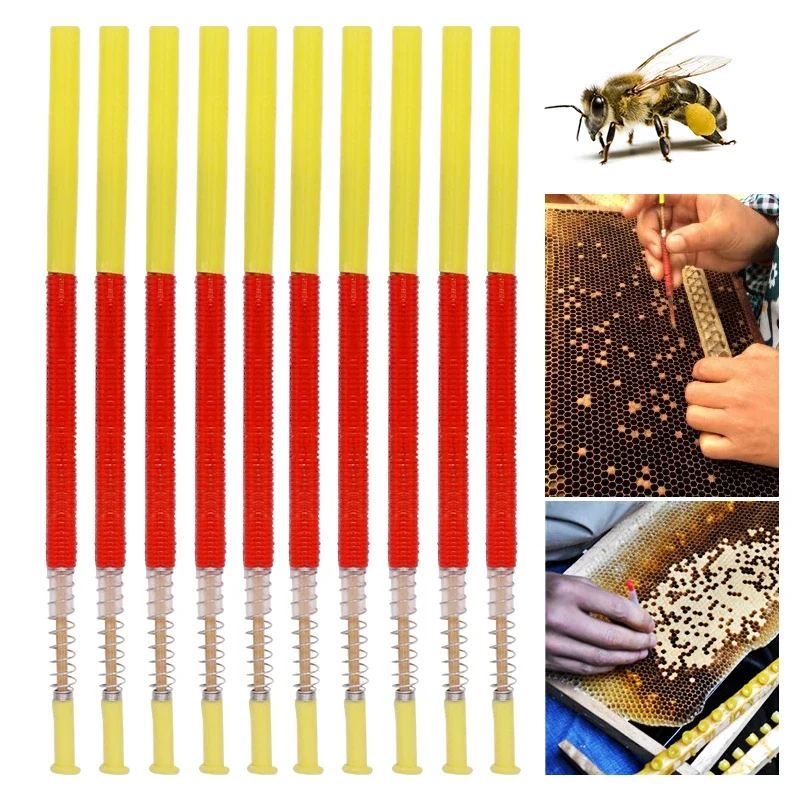 20pcs Beekeeping Grafting Larva Grafting Tools Worms Retractable Move Apiculture Equipment Needles tools
20pcs Beekeeping Grafting Larva Grafting Tools Worms Retractable Move Apiculture Equipment Needles tools