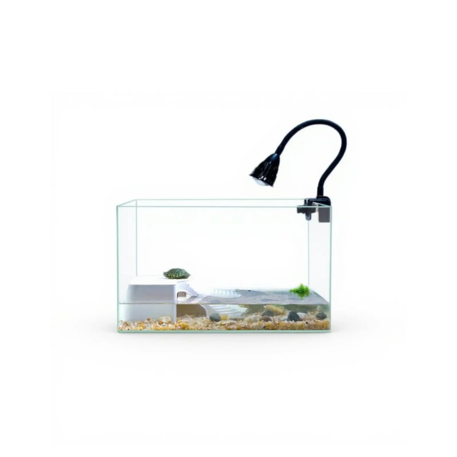 Glass Turtle Tank with Filter and Lamp for Desktop
Glass Turtle Tank with Filter and Lamp for Desktop